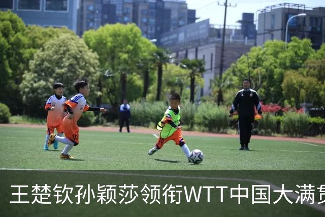 王楚钦孙颖莎领衔WTT中国大满贯名单 国乒男女单打15人出战
