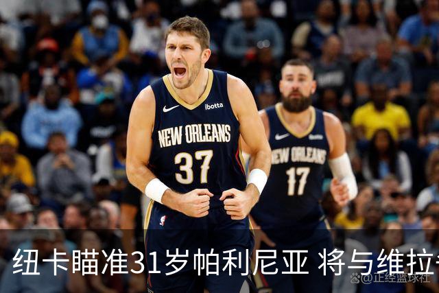 纽卡瞄准31岁帕利尼亚 将与维拉争夺拜仁中场